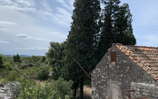 Šibenik, prodaja, poljoprivredno zemljište, 37000 m2