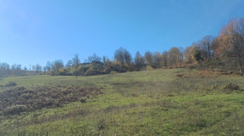 Poljoprivredno zemljište, prodaja, okolica Slunja, Hrvatska