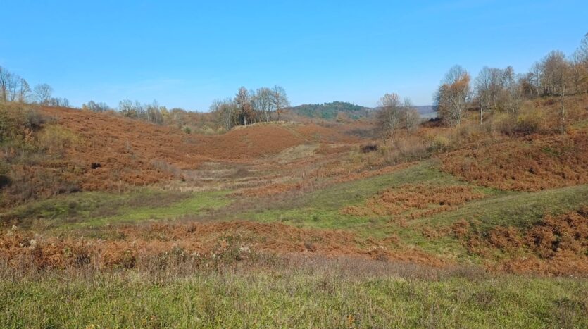 Poljoprivredno zemljište, prodaja, okolica Slunja, Hrvatska