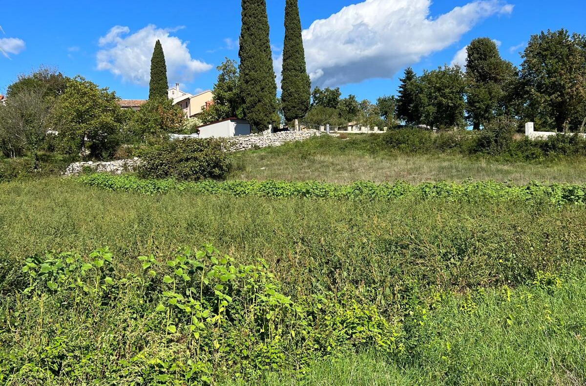 Istra, Hrvatska, zemljište sa pravomoćnom građevinskom, za luksuznu vilu sa bazenom